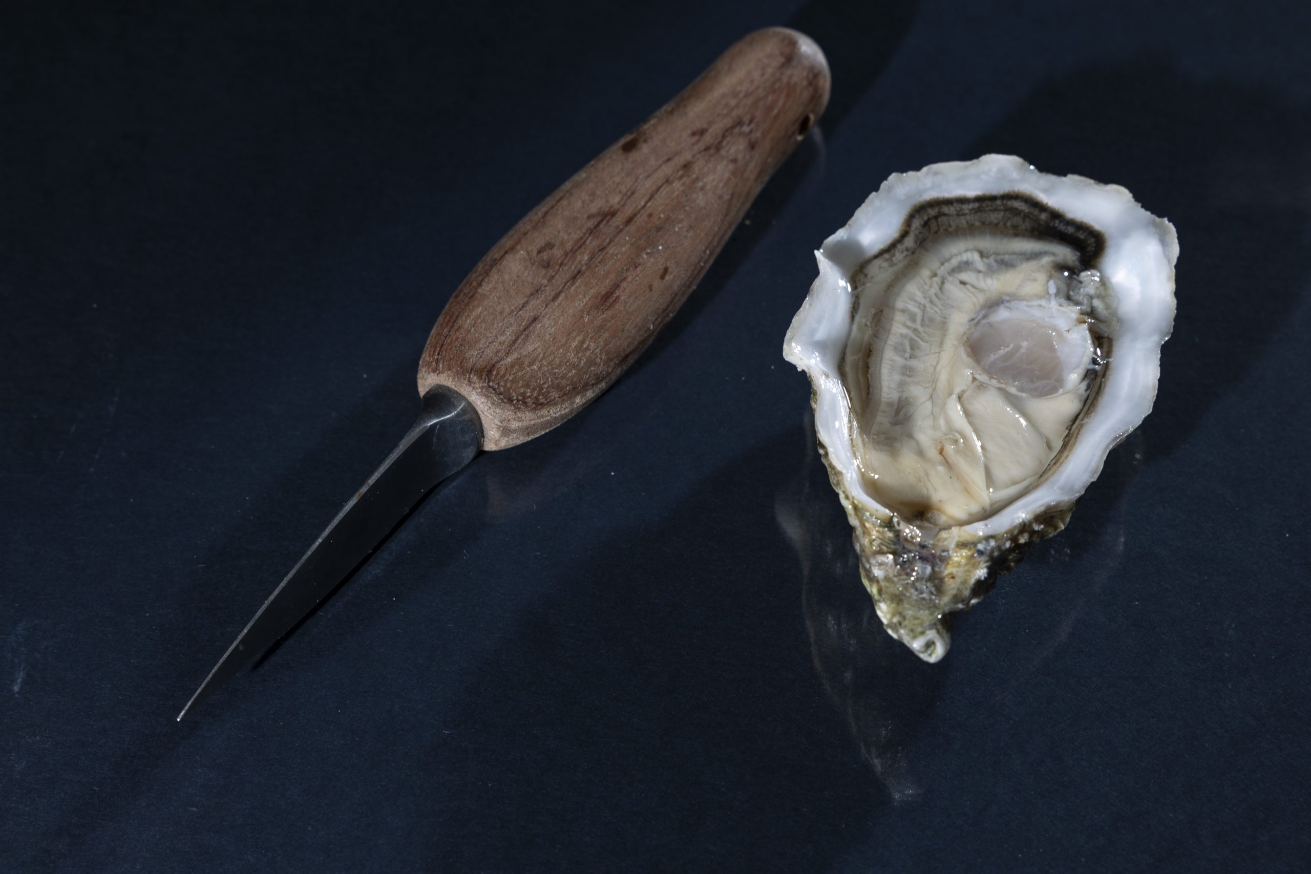 Waterford Oysters Quality